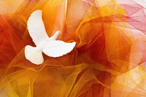 shutterstock_2463177673