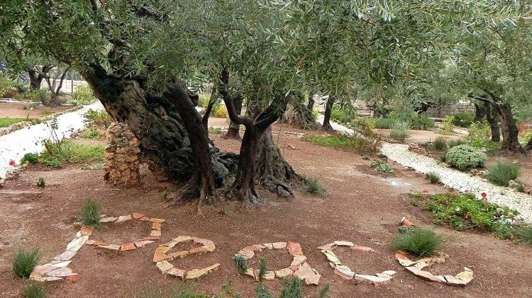 El jardín de Getsemaní, Jerusalén